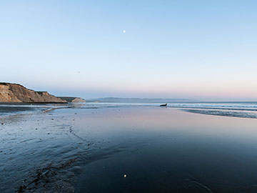 Elephant Seal at Drake's Beach